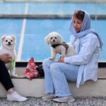 Iran to Crack Down on Dog Walkers