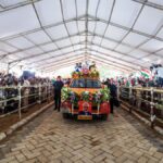 Crimes against women, Dalits dampen Majhi govt.’s one-year celebrations