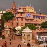 मथुरा घूमने गए थे हीरा व्यापारी, बंदर ने 20 लाख के गहनों से भरा बैग छीना