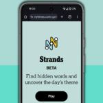 NYT Strands hints and answers for Monday, June 9 (game #463)