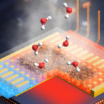 Cooling data centers is a multi-billion dollar problem – now researchers want to use a common cooling mechanism found in animals to solve it