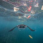 Guterres calls for an end to ocean ‘plunder’ as UN summit opens in France