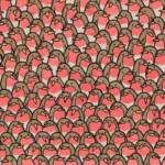 Optical illusion: Just 1% of people can spot the two hearts in this robin challenge