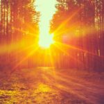 Aaj Ka Panchang, June 27, 2025: Tithi, Vrat And Today’s Shubh, Ashubh Muhurat