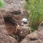 1 terrorist killed in ongoing encounter in J&K’s Udhampur